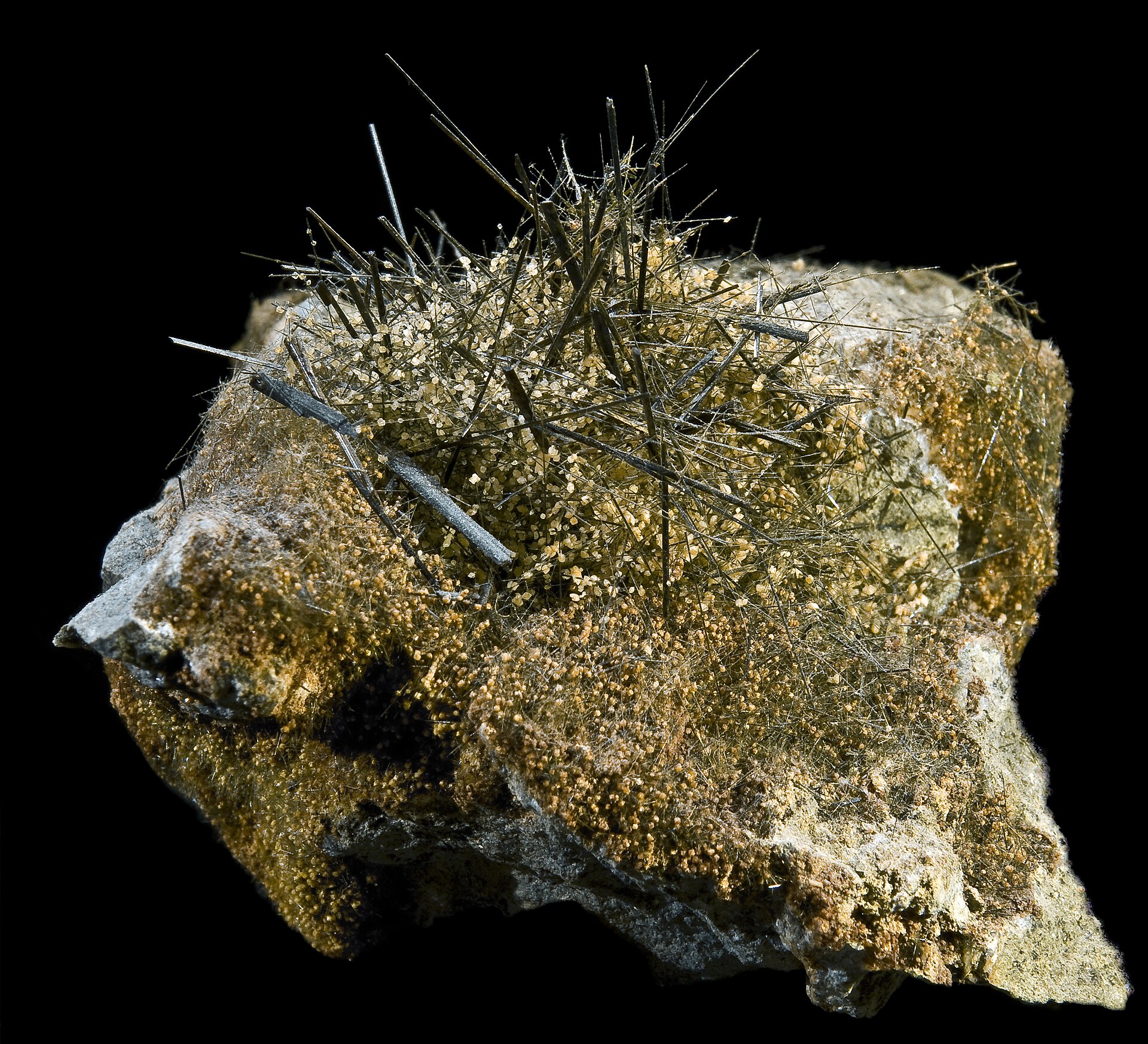 Spécimen de Actinolite