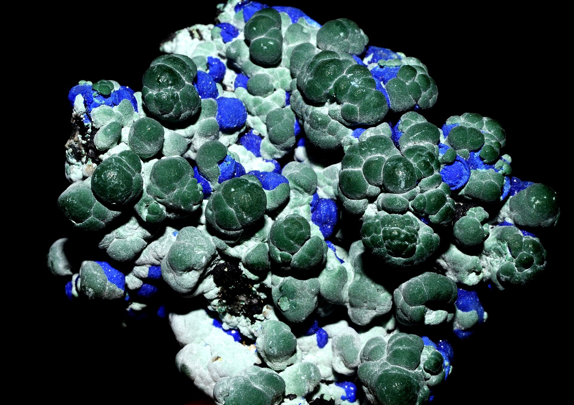 Spécimen de Azurite-malachite
