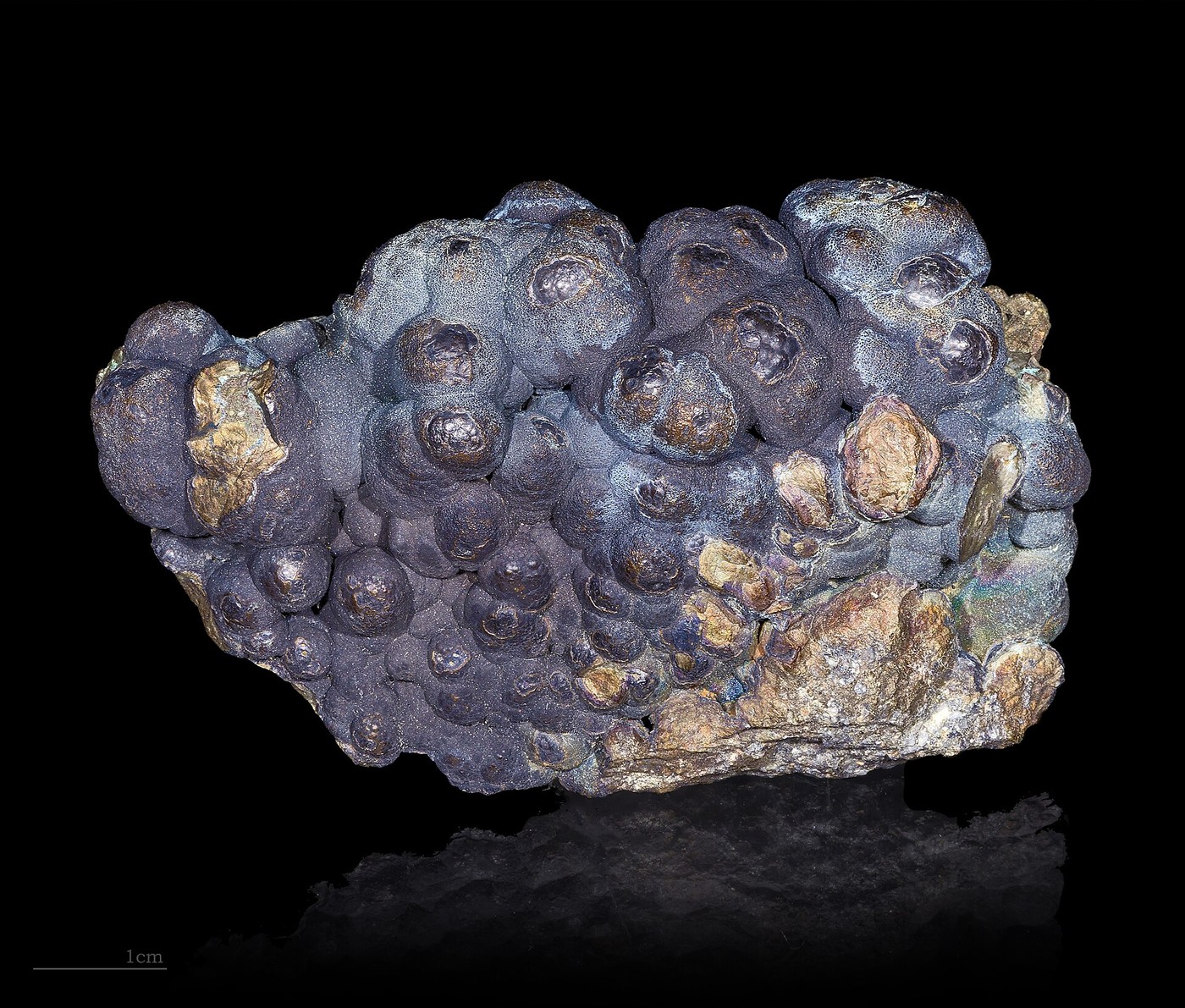Spécimen de Chalcopyrite