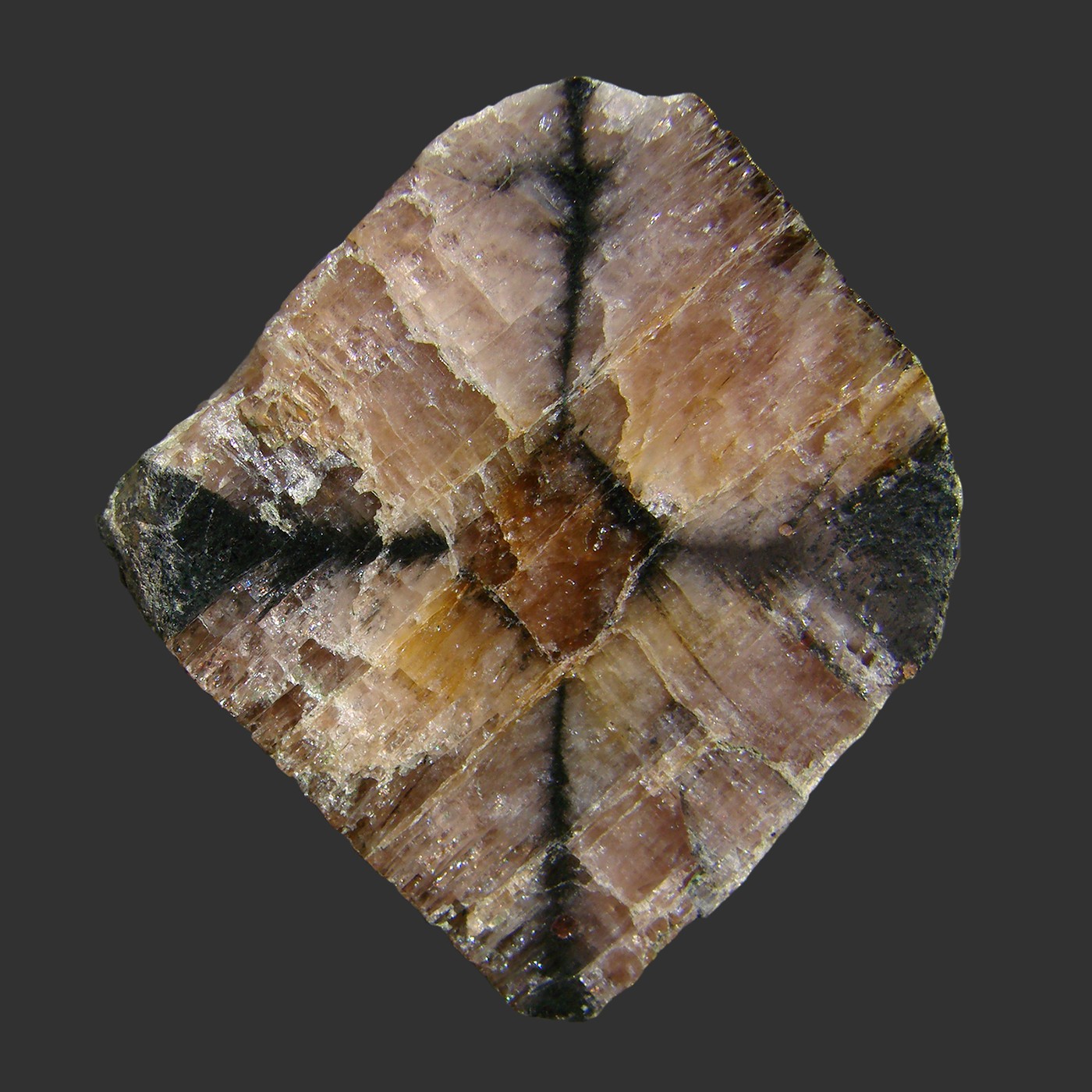 Spécimen de Chiastolite