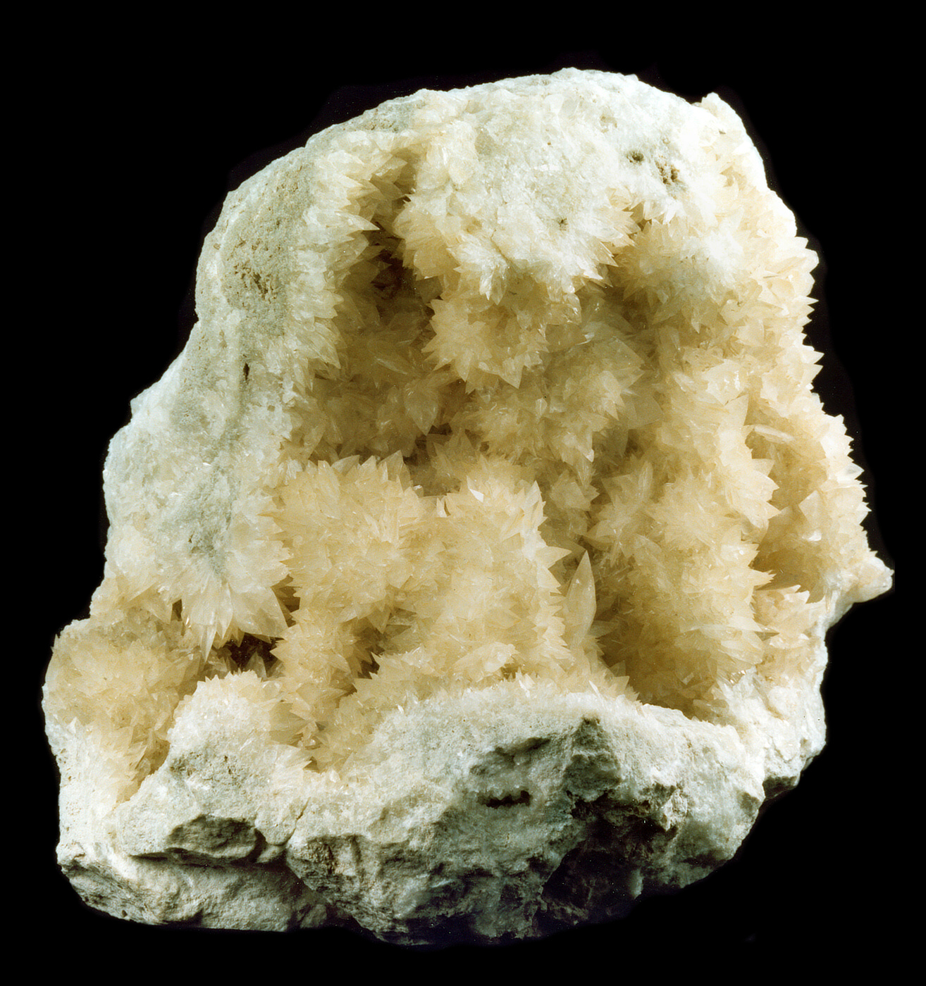 Spécimen de Colémanite
