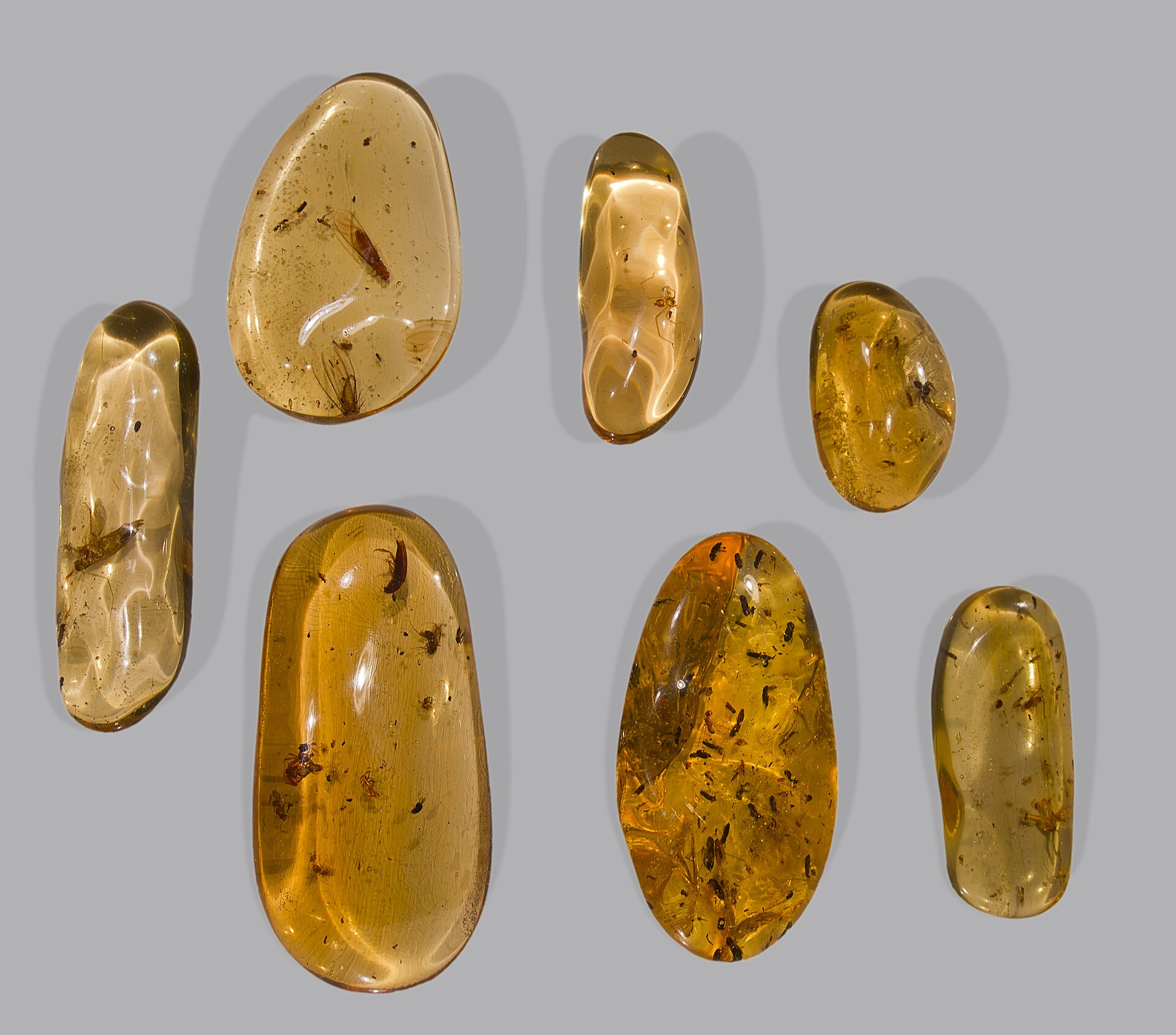 Spécimen de Copal