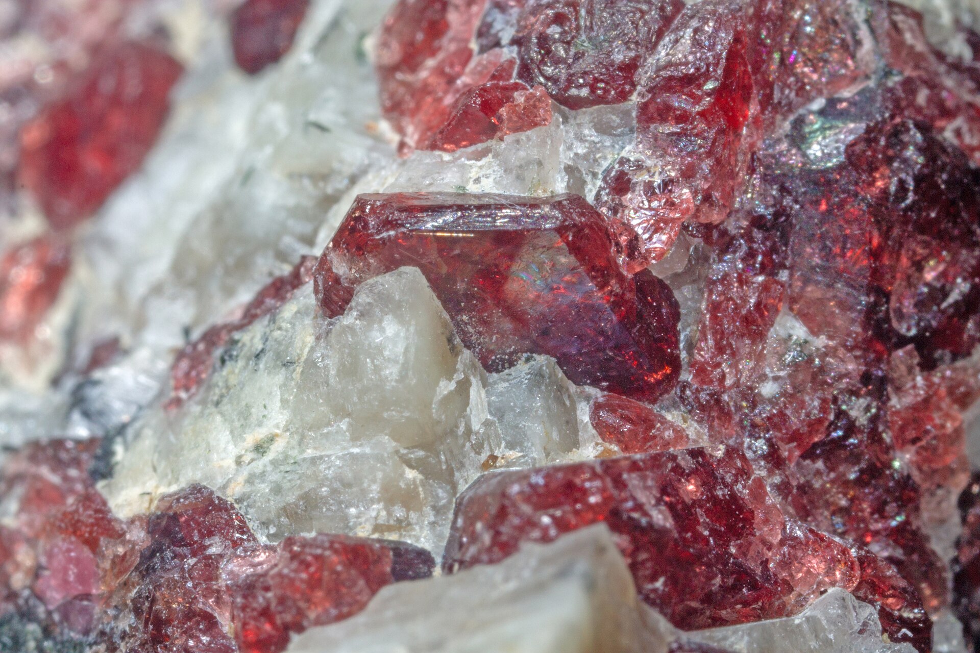 Spécimen de Eudialyte
