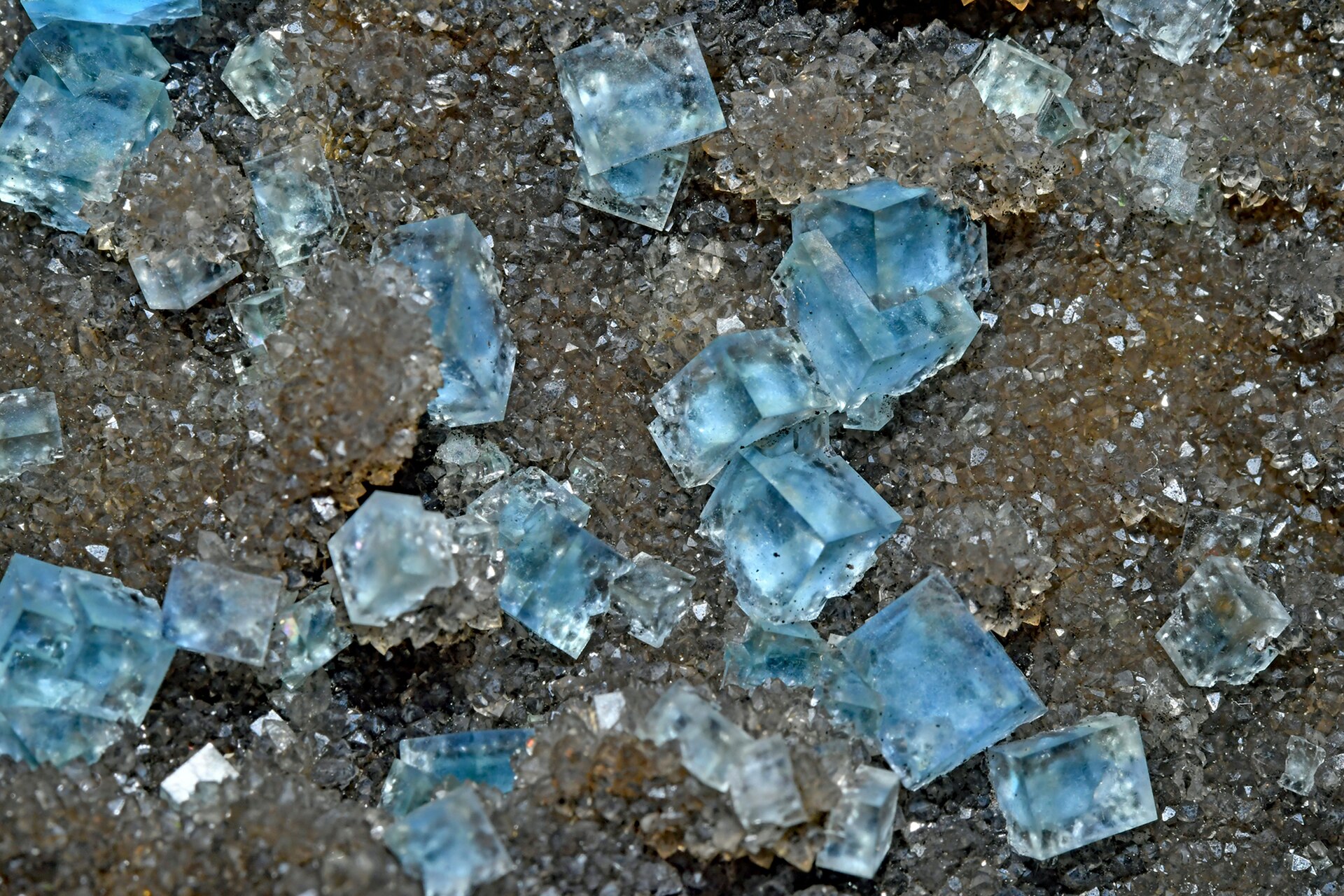 Spécimen de Fluorine bleue