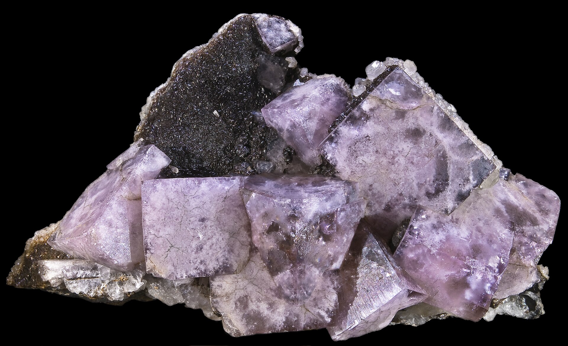 Spécimen de Fluorine violette