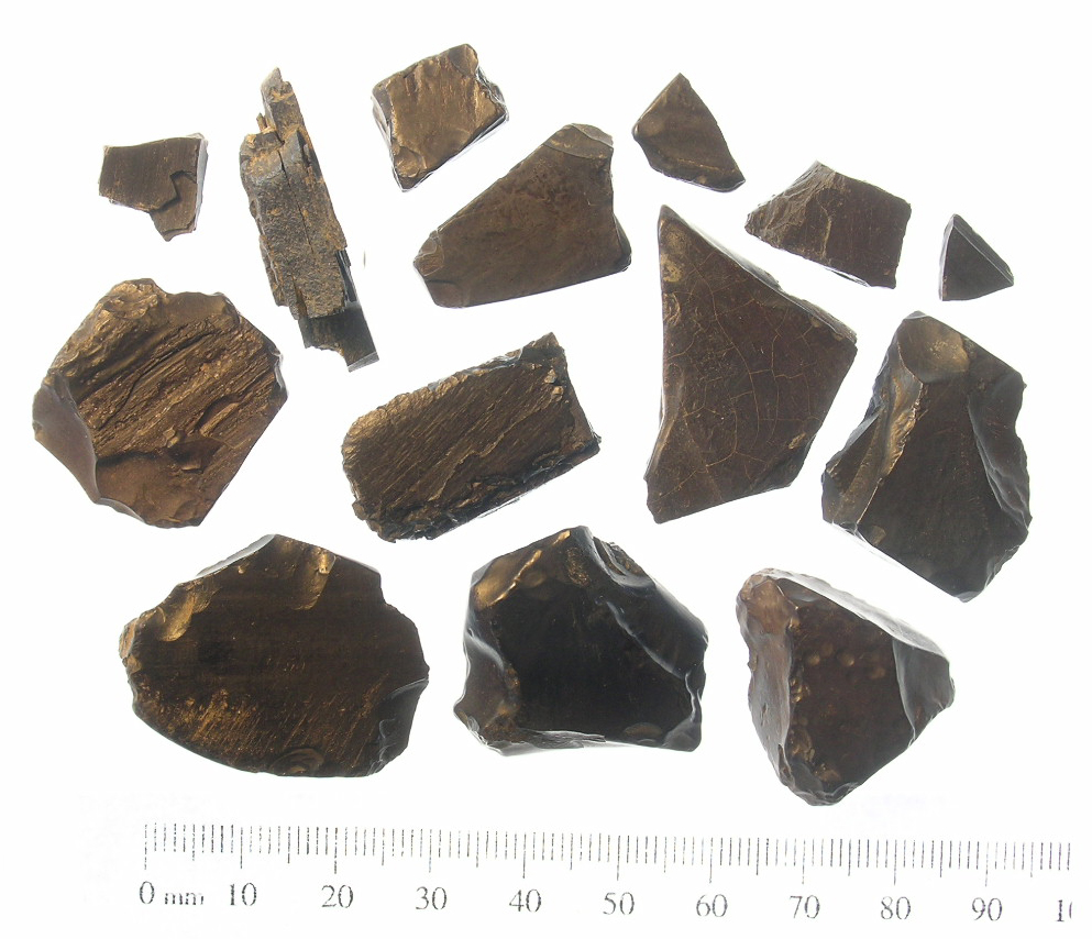Spécimen de Jais de Whitby