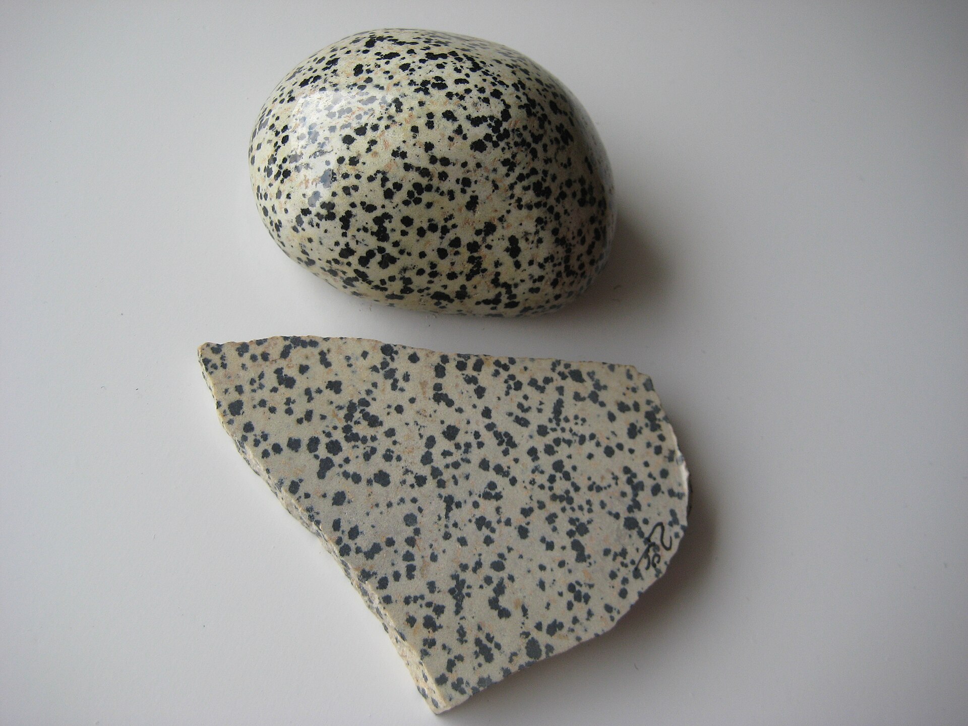 Spécimen de Jaspe dalmatien