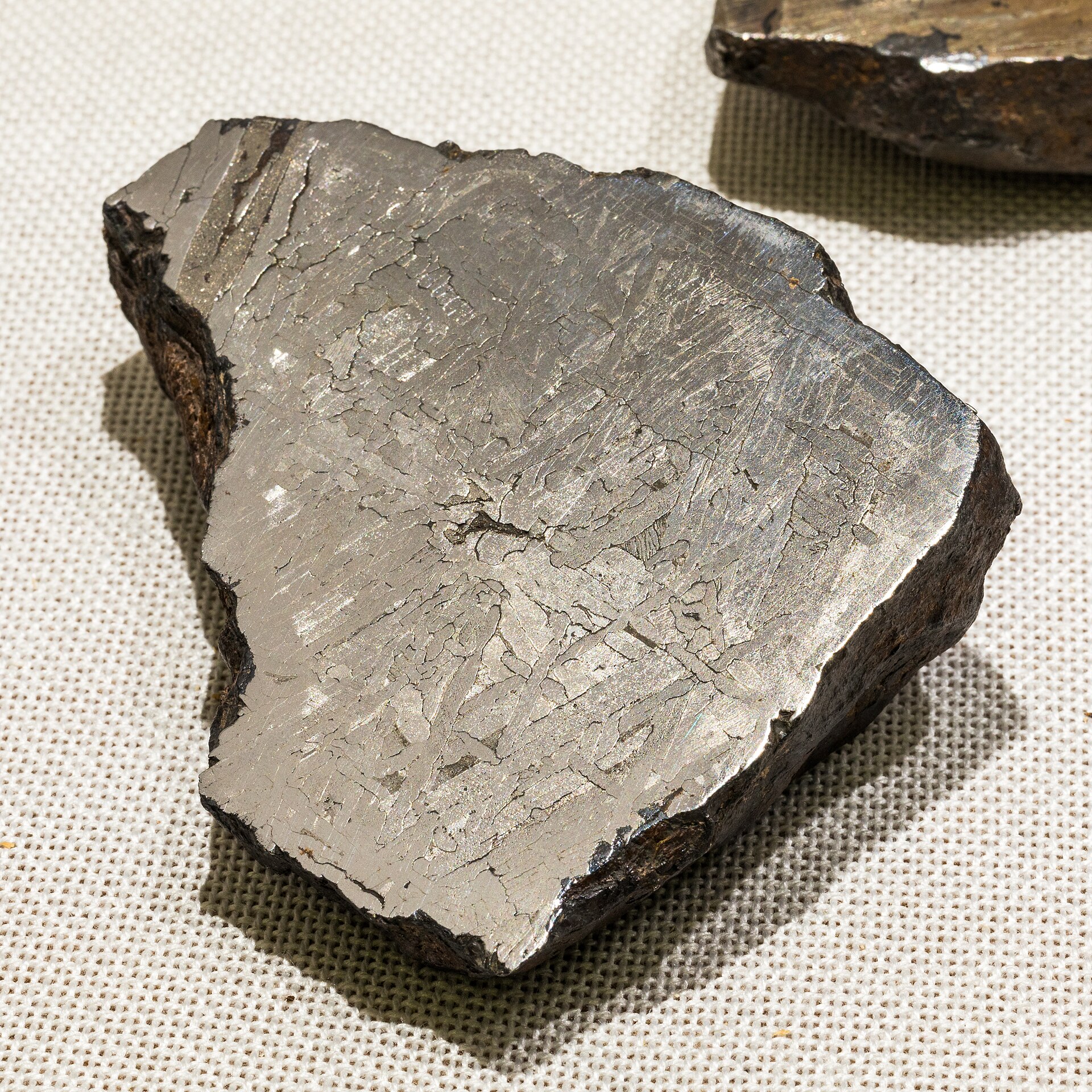 Spécimen de Météorite de fer (Campo del Cielo)
