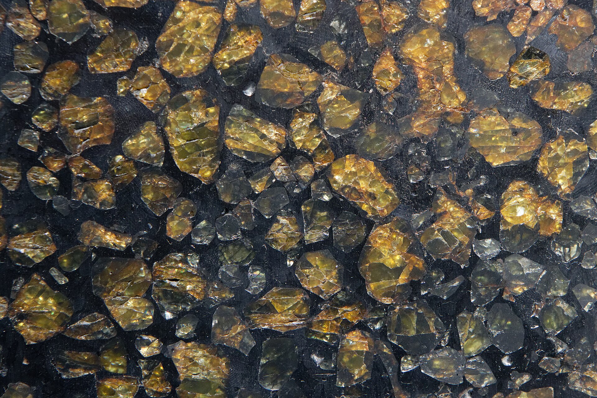 Spécimen de Pallasite