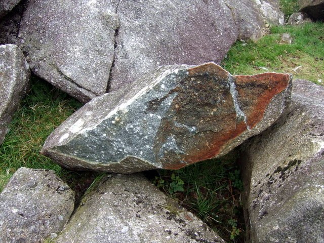 Spécimen de Preseli bluestone