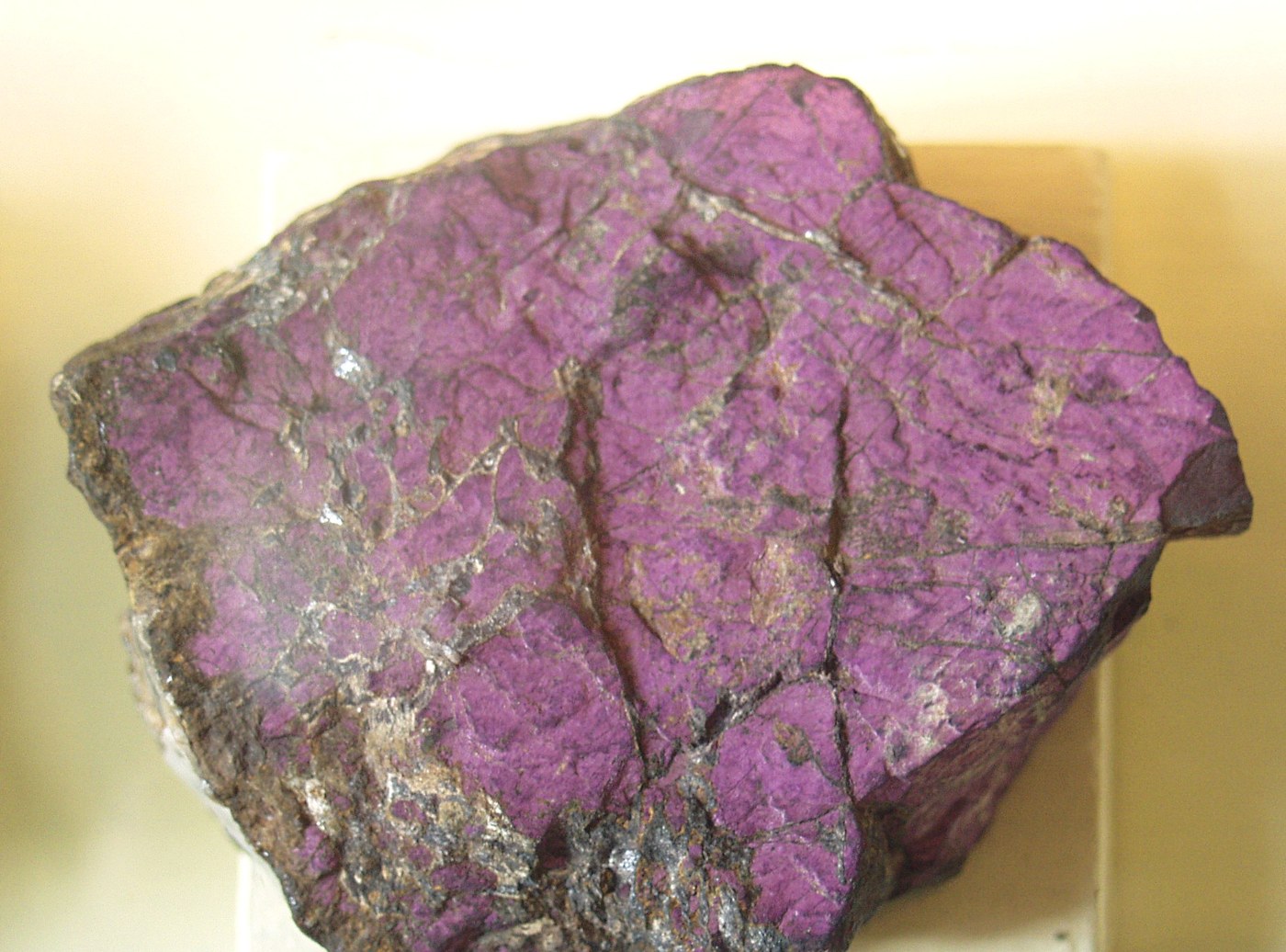 Spécimen de Purpurite