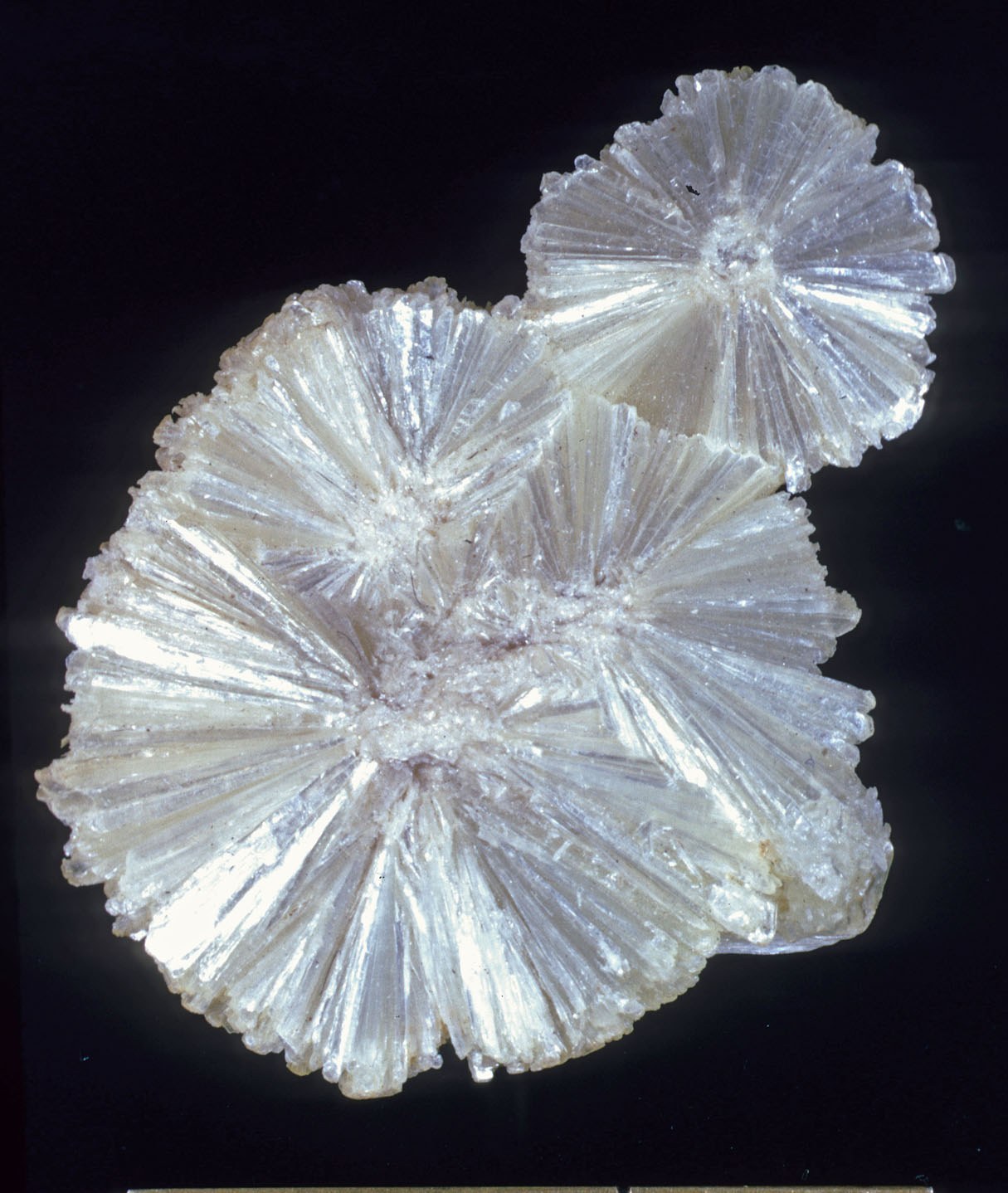 Spécimen de Pyrophyllite