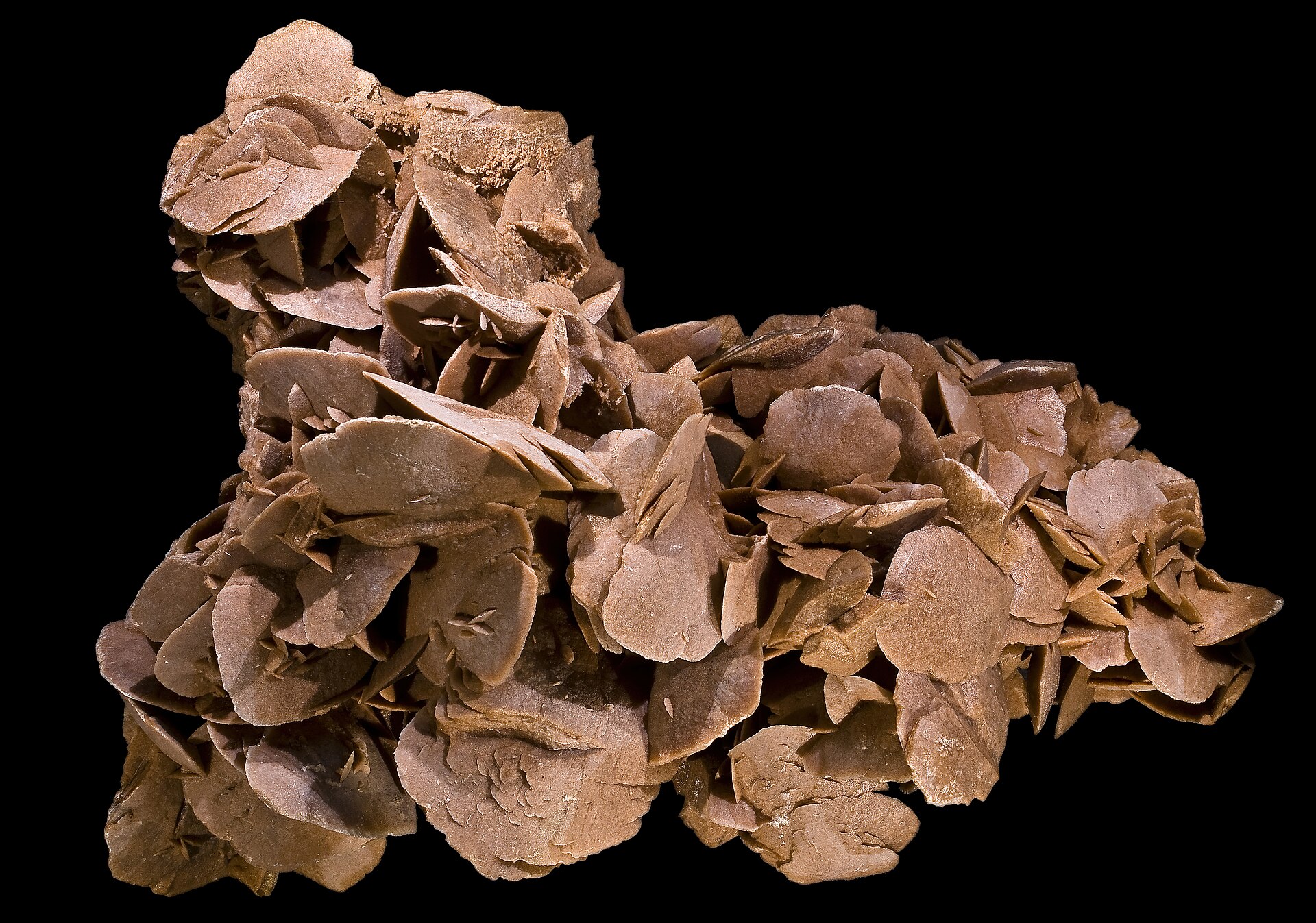 Spécimen de Gypse rose des sables