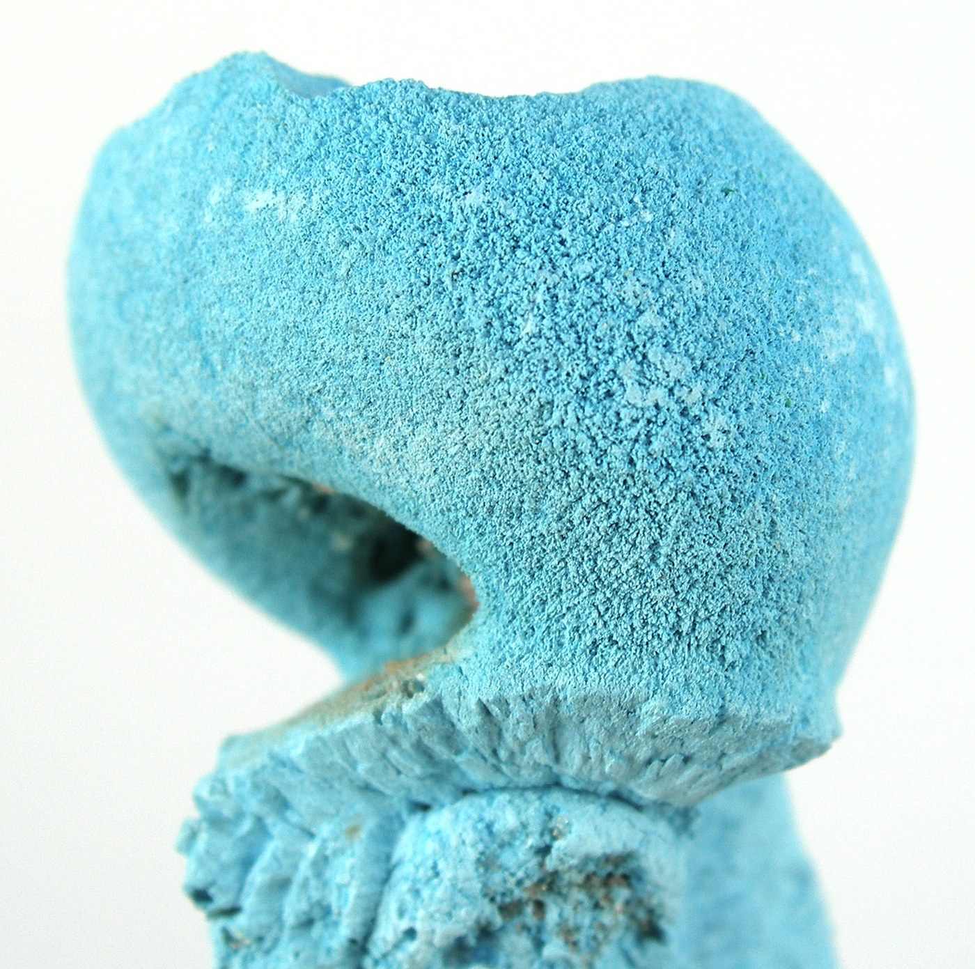 Spécimen de Shattuckite