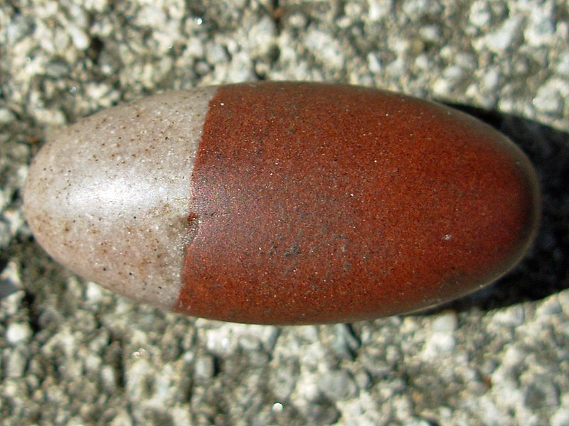 Spécimen de Shiva lingam