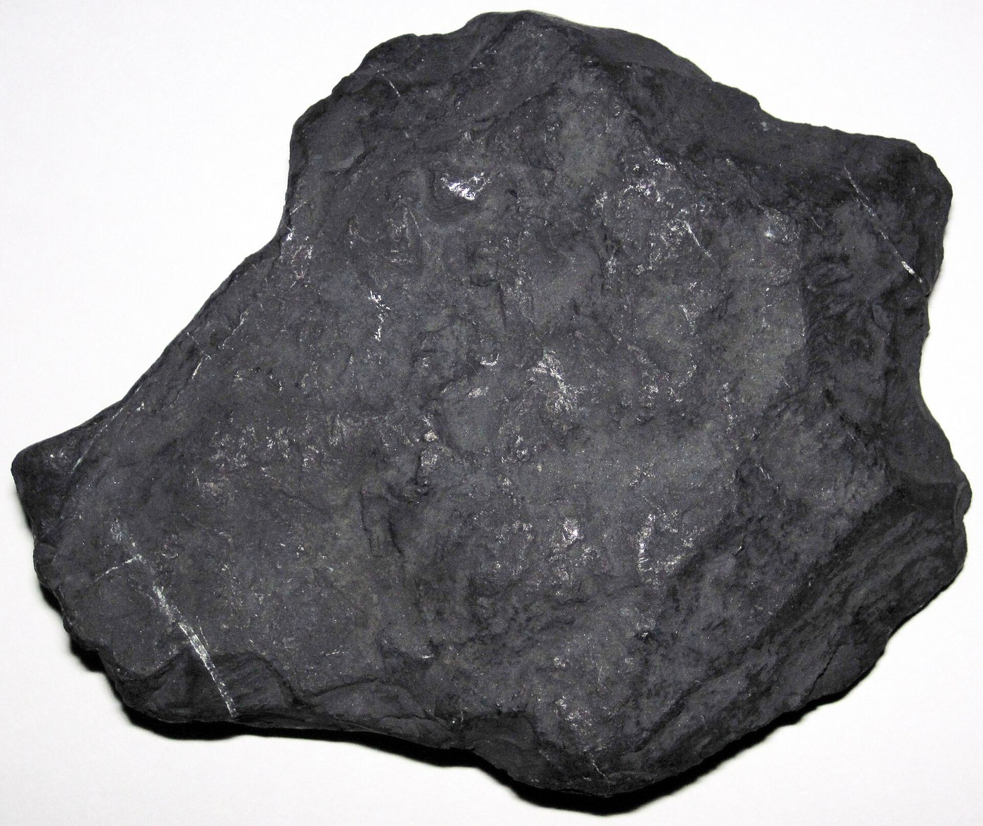 Spécimen de Shungite