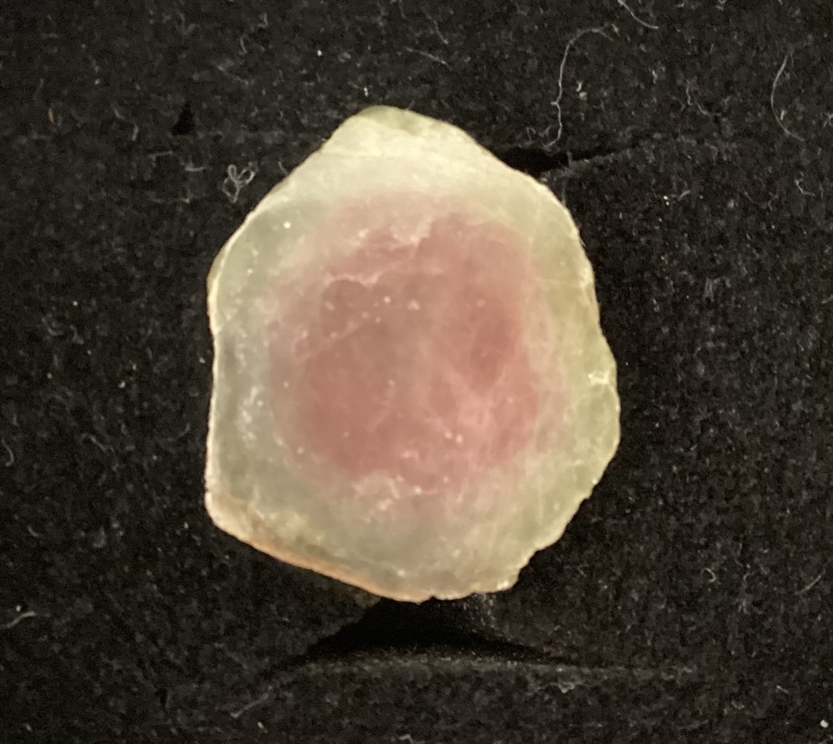 Spécimen de Tourmaline melon d'eau