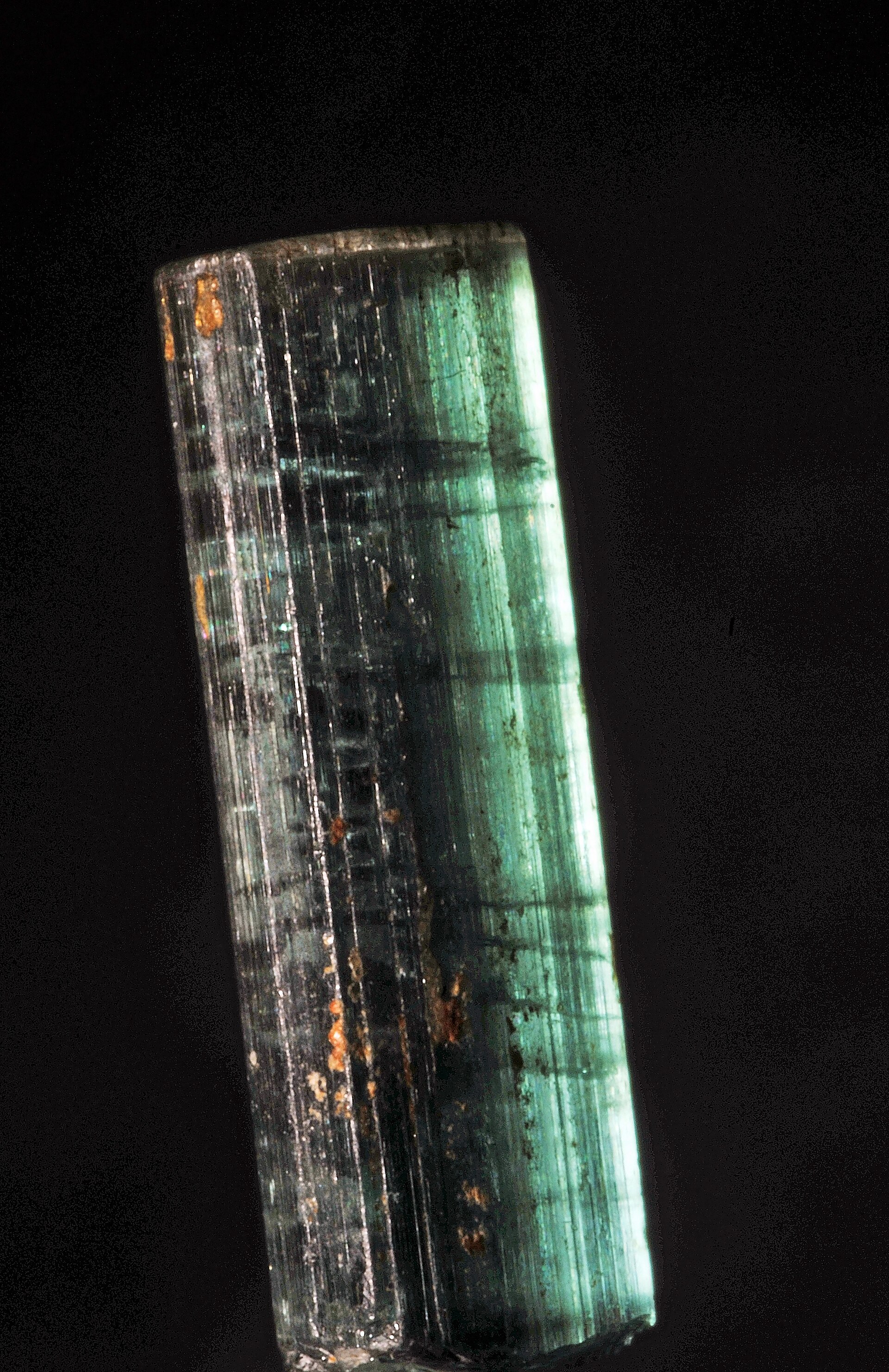 Spécimen de Tourmaline Paraïba