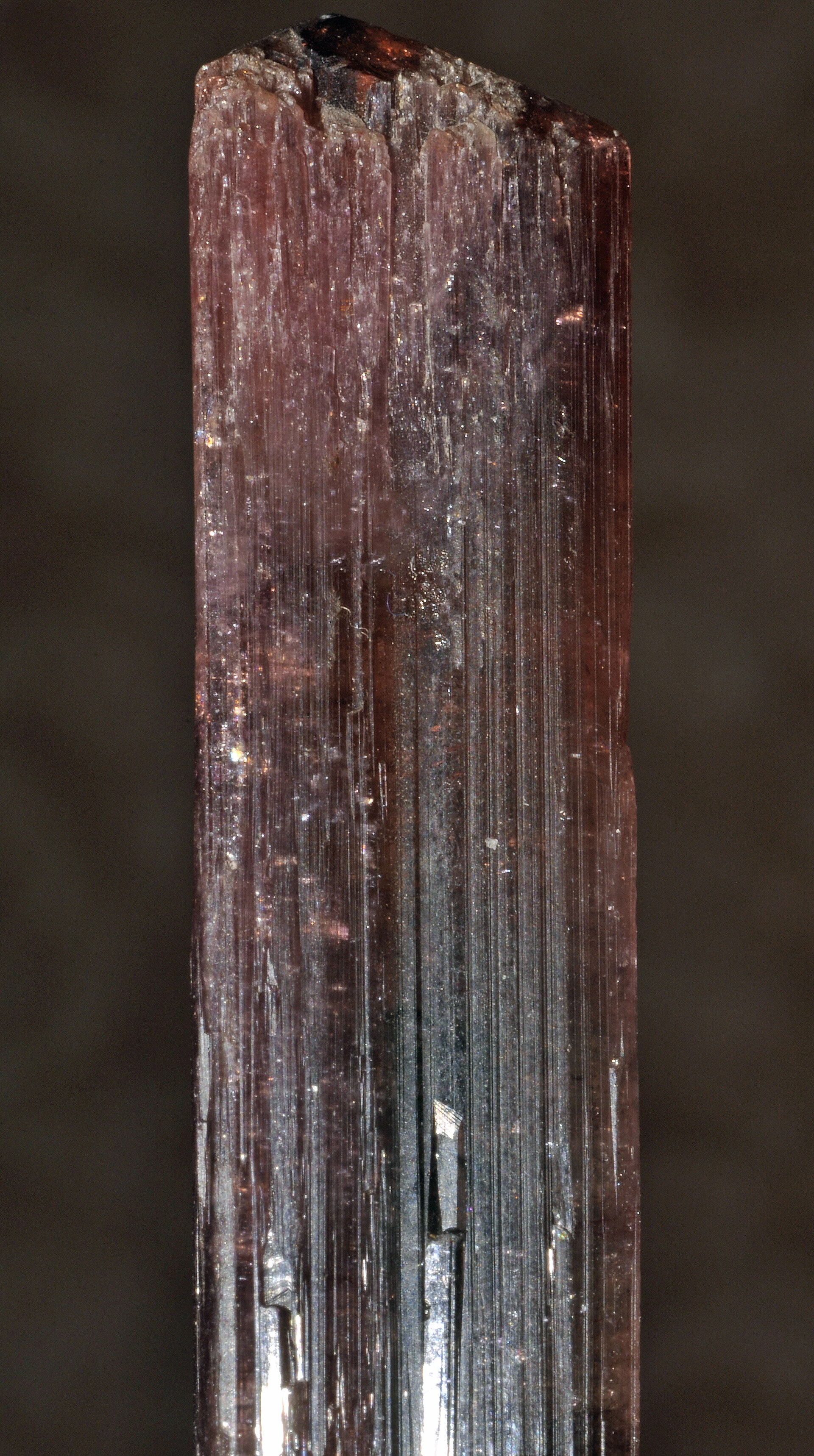 Spécimen de Tourmaline rose