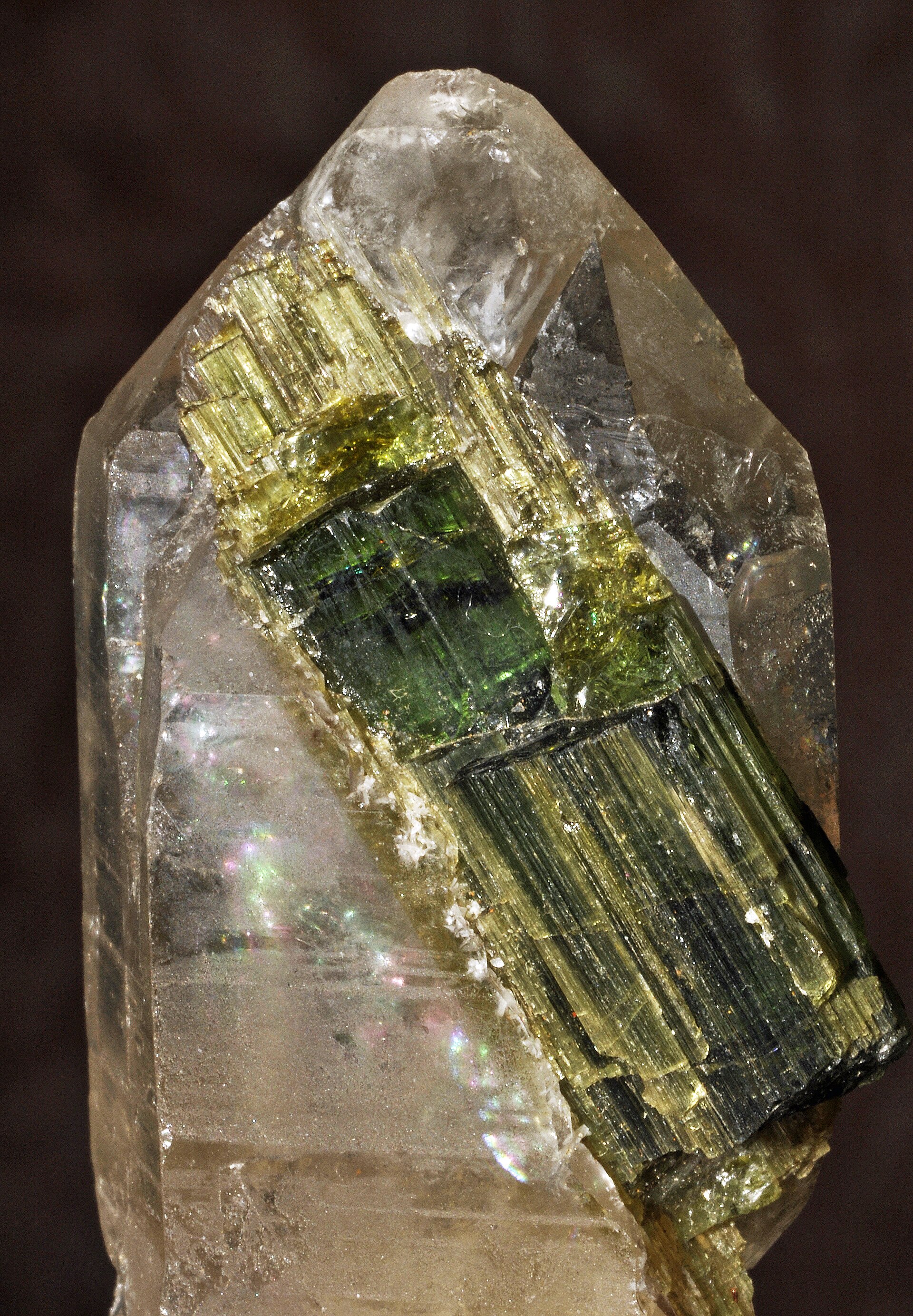 Spécimen de Tourmaline verte